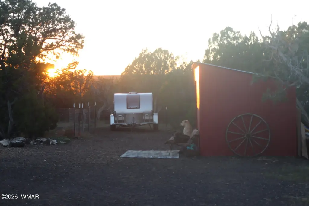 Picture 11