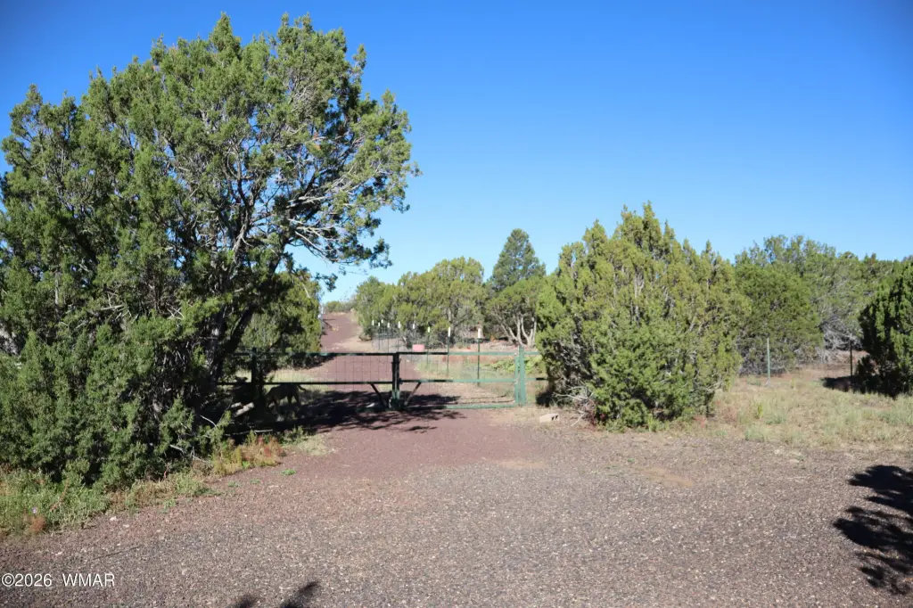 Picture 27