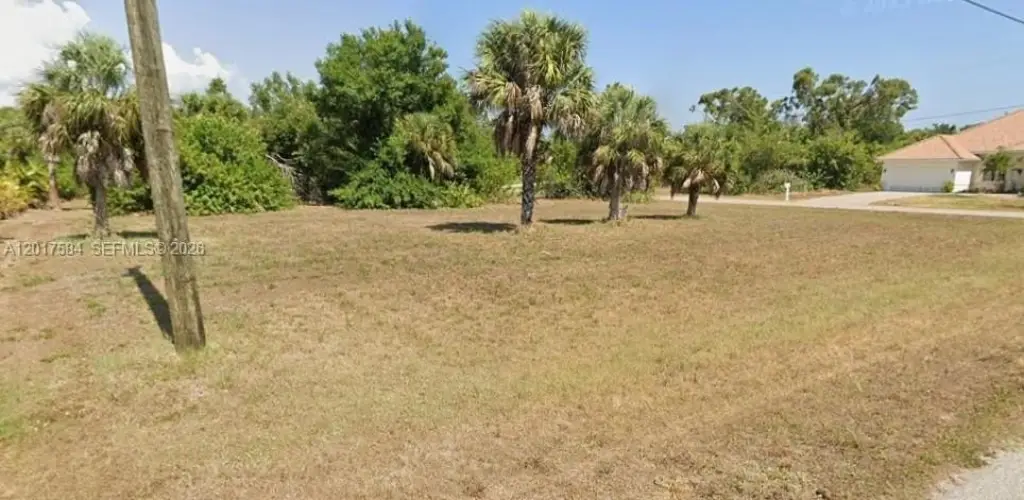 Picture 5