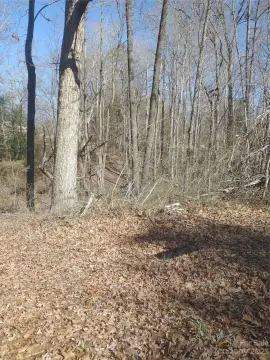 Land in Claremont, North Carolina