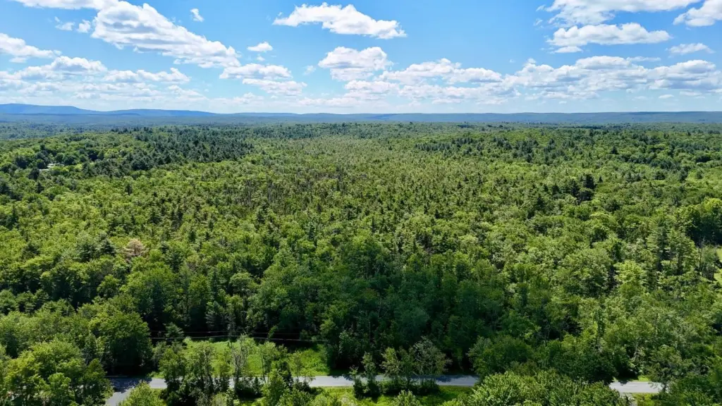 Picture 38