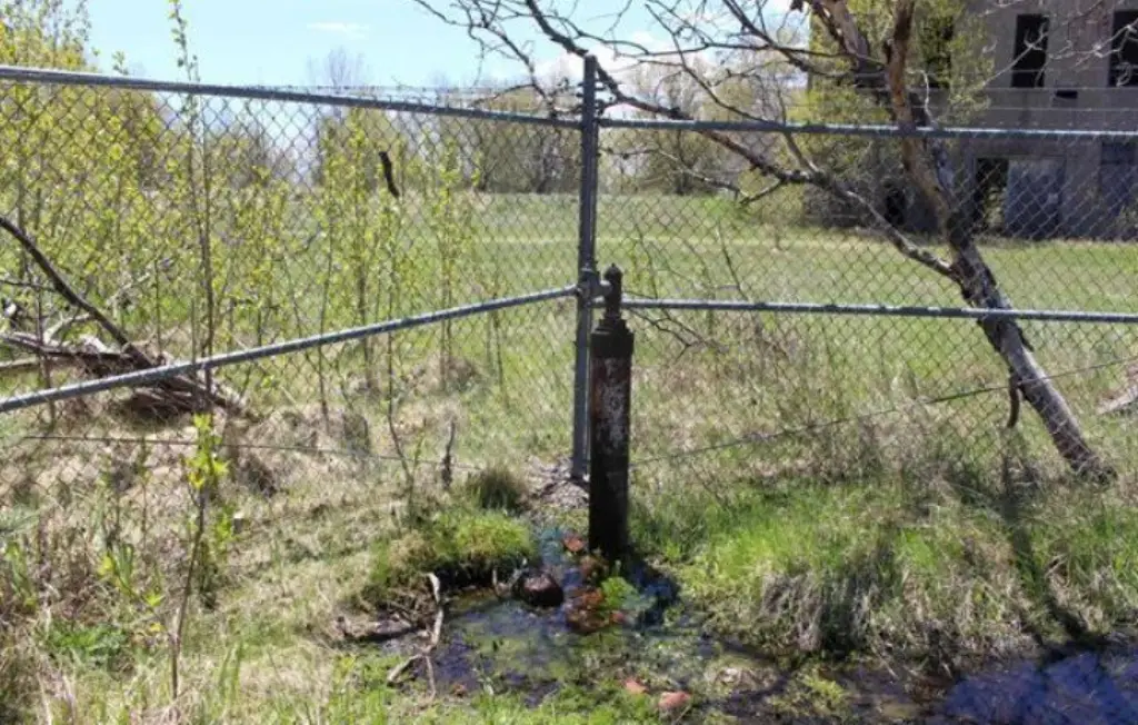 Picture 14