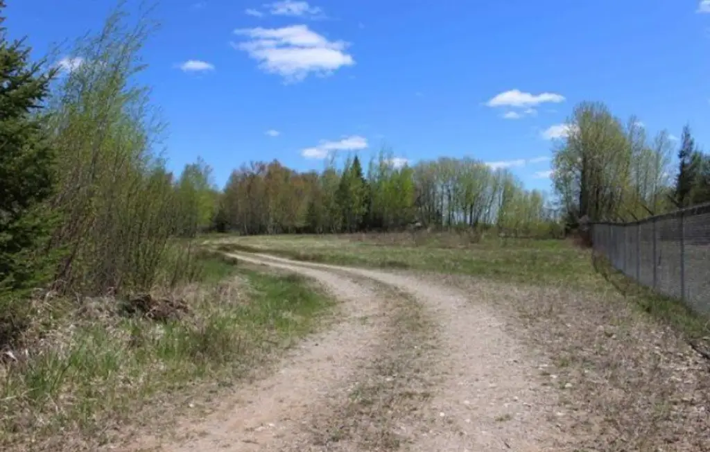 Picture 12