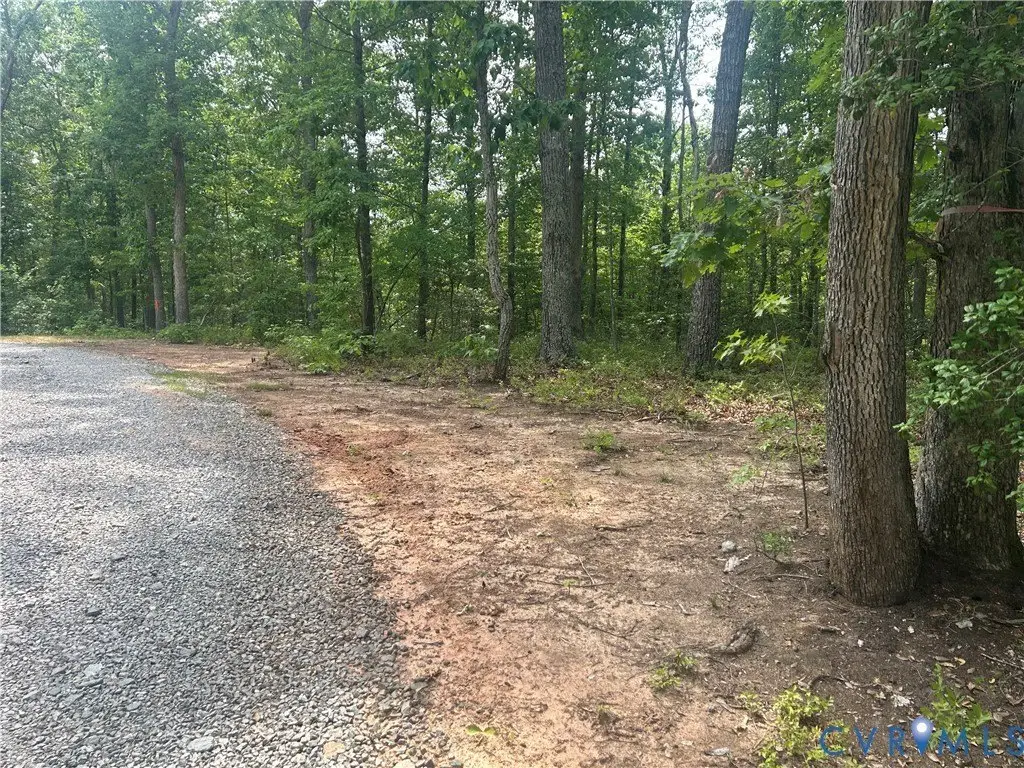 Picture 2