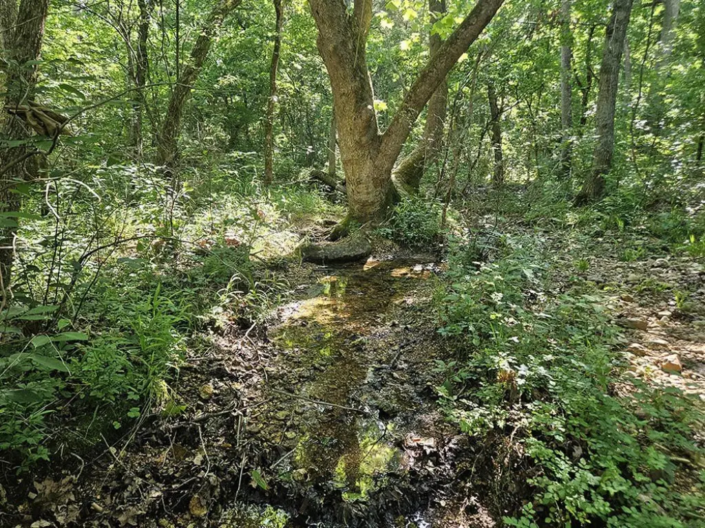 Picture 38