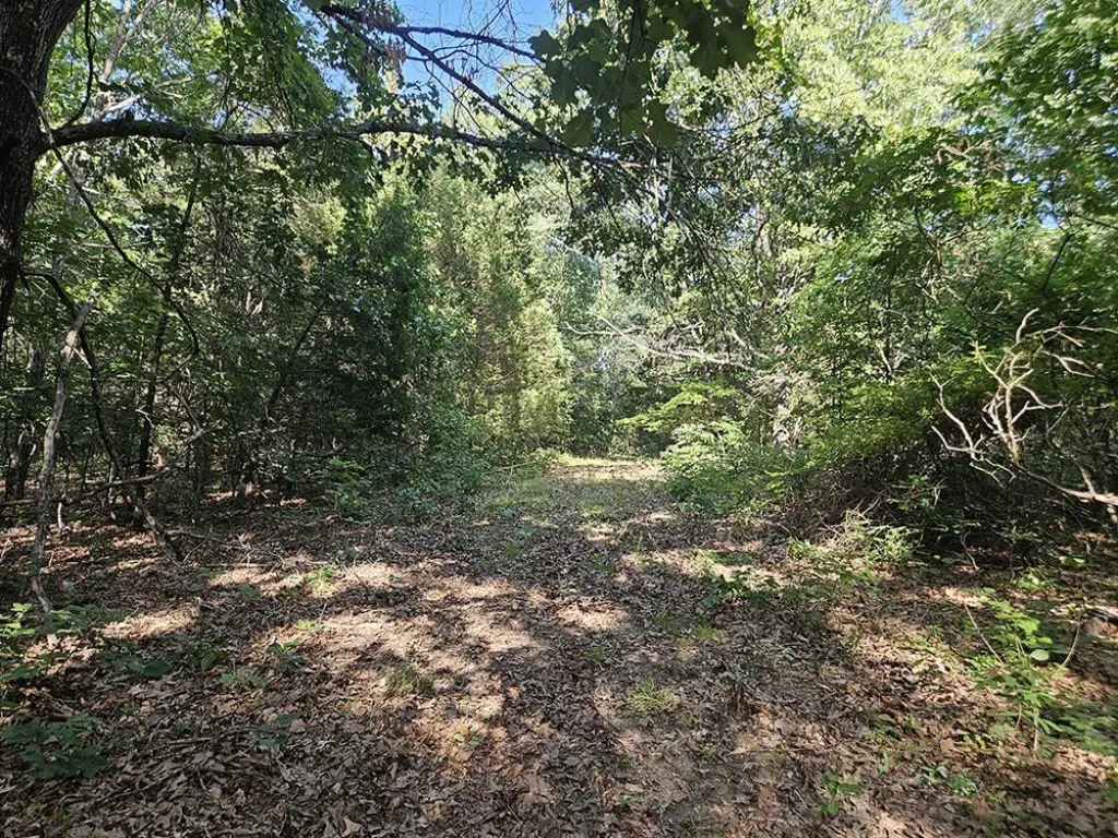 Picture 45