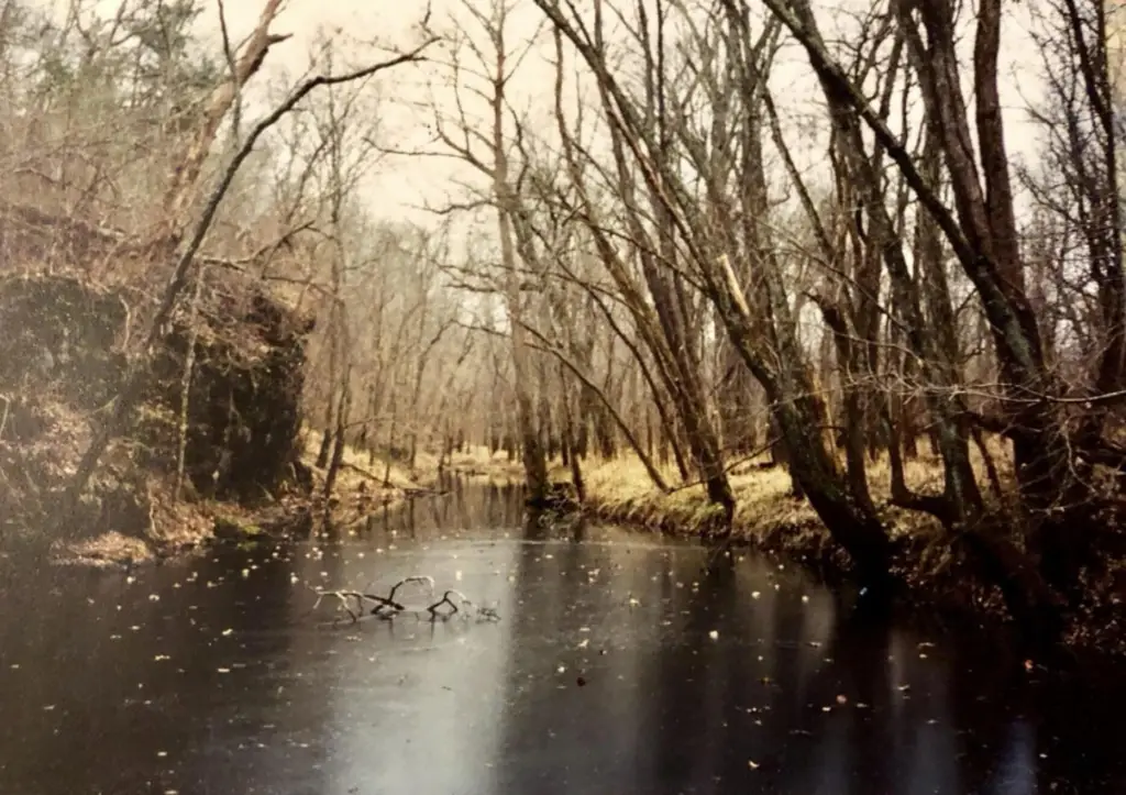 Picture 4