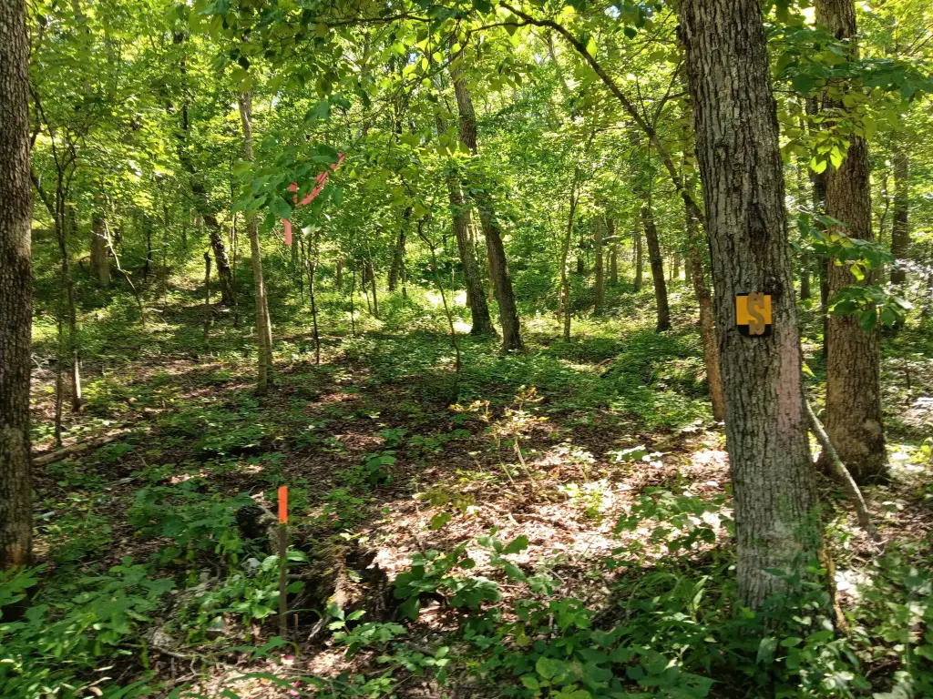 Picture 15