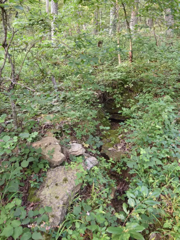Picture 11