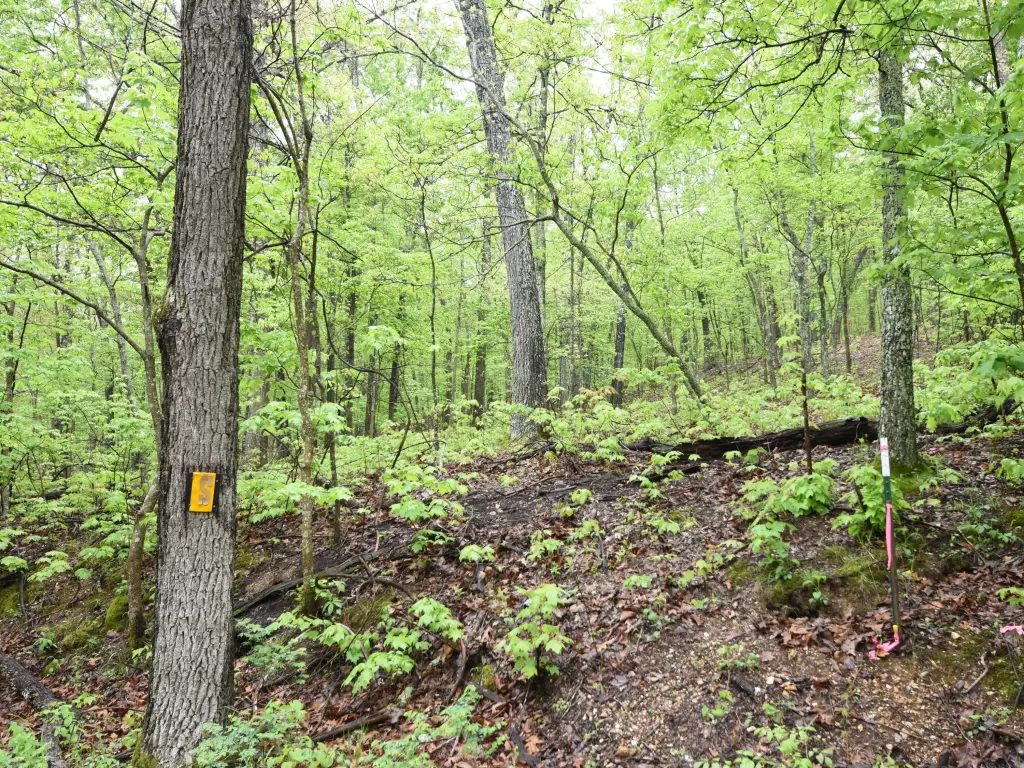 Picture 6