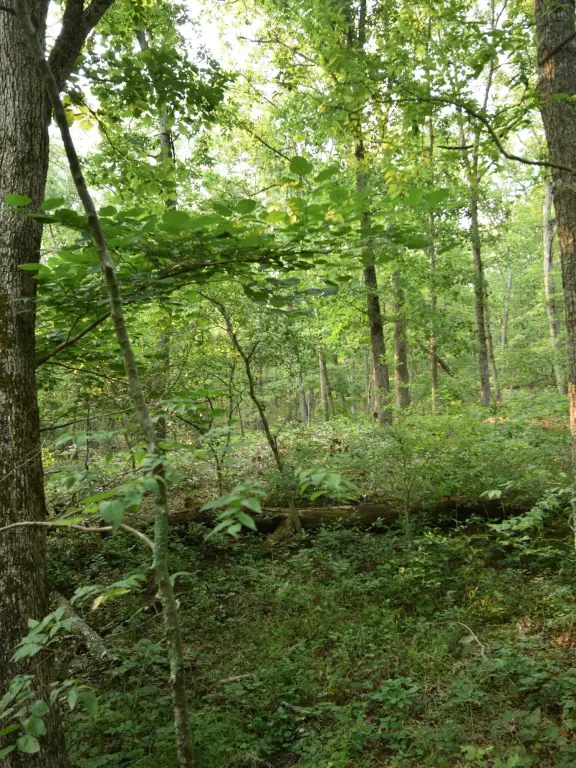 Picture 18