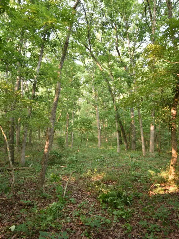 Picture 12