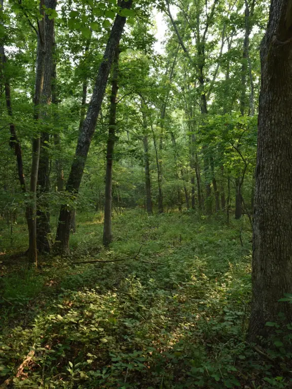 Picture 17