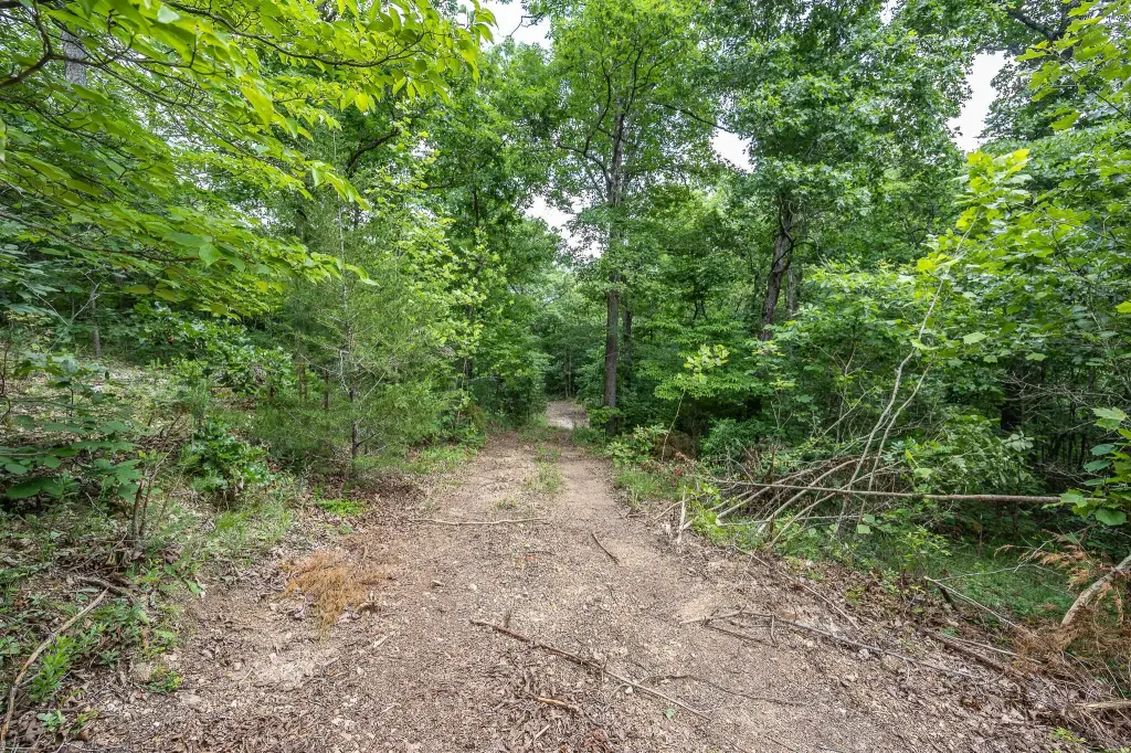 Picture 41