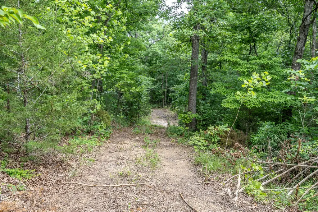 Picture 42