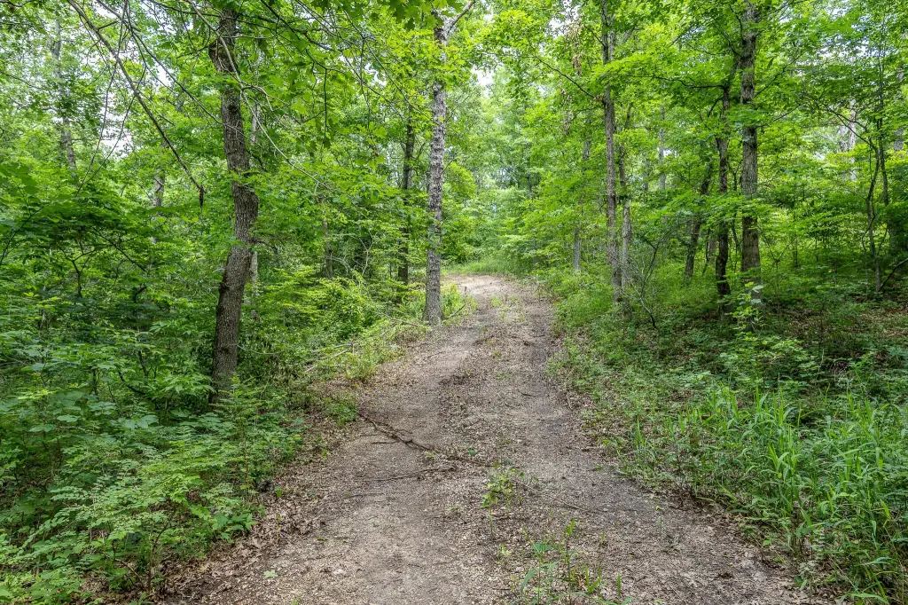 Picture 46