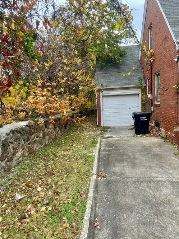 Picture 5