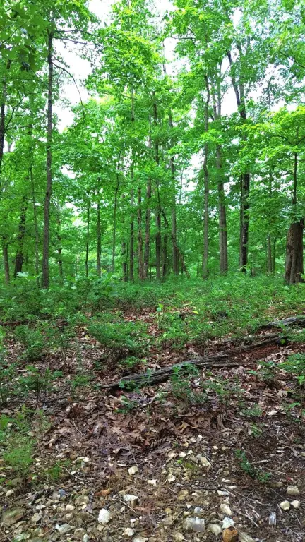 Picture 16