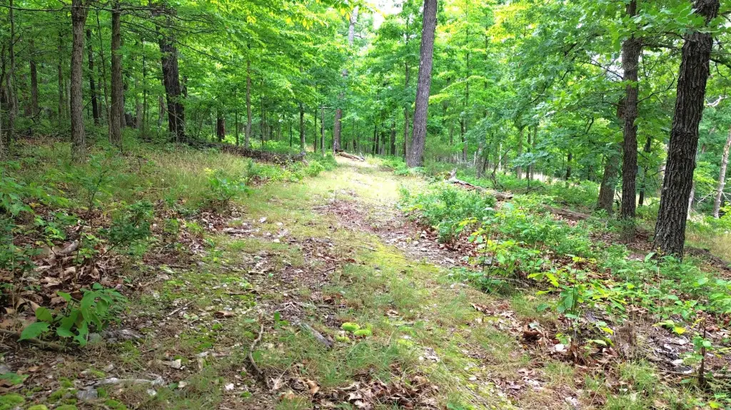 Picture 12
