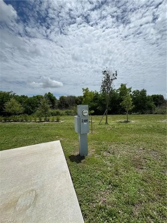Picture 9