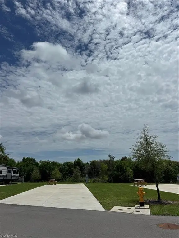 Picture 4