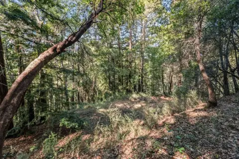 Residential Land in Felton, CA
