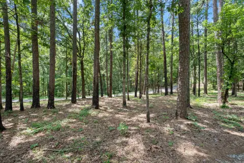 25 Acres Wooded Timber Land