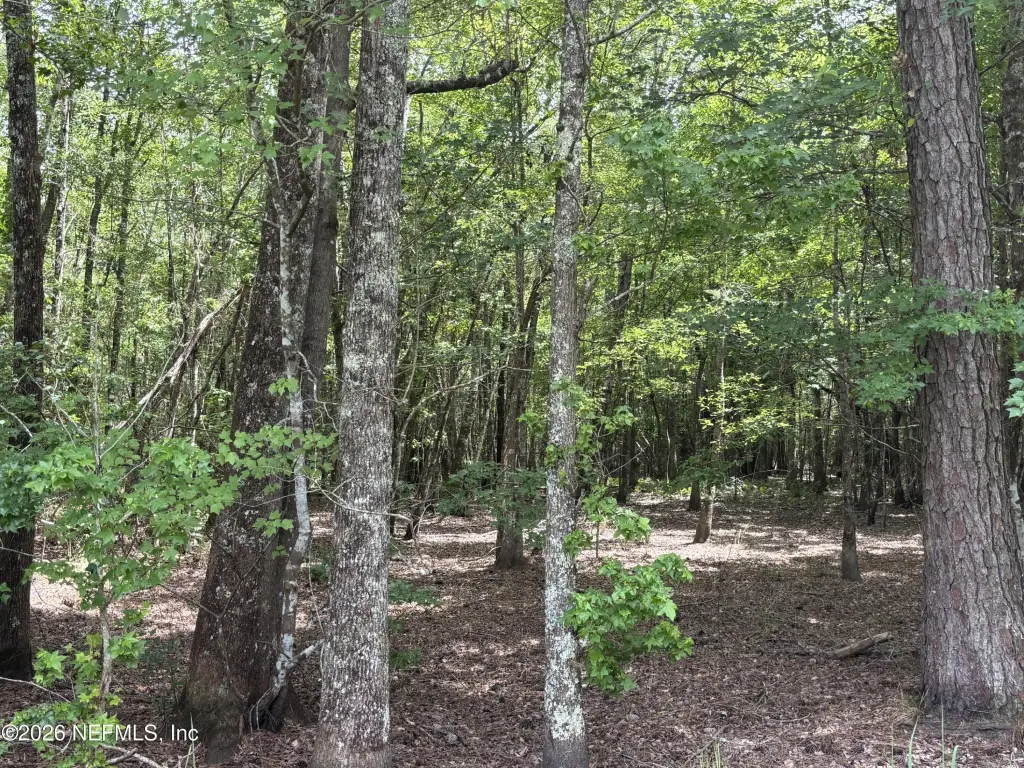 Picture 21