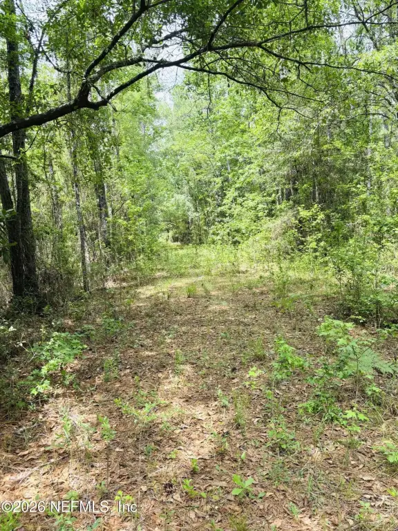 Picture 18