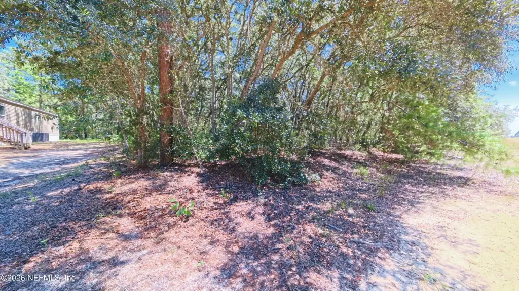 Picture 5