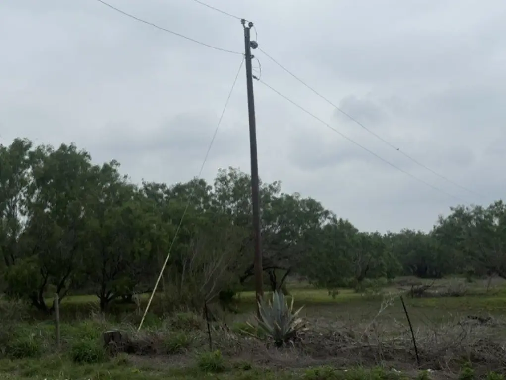 Picture 2