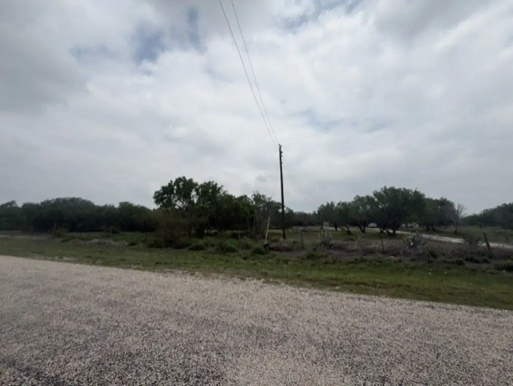 Picture 3