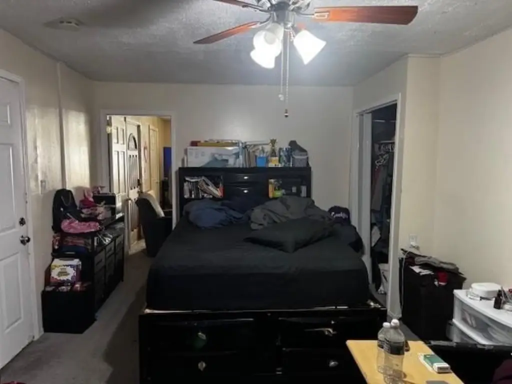 Picture 17