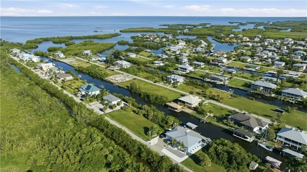 Picture 20