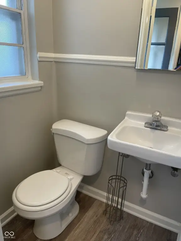 Picture 19