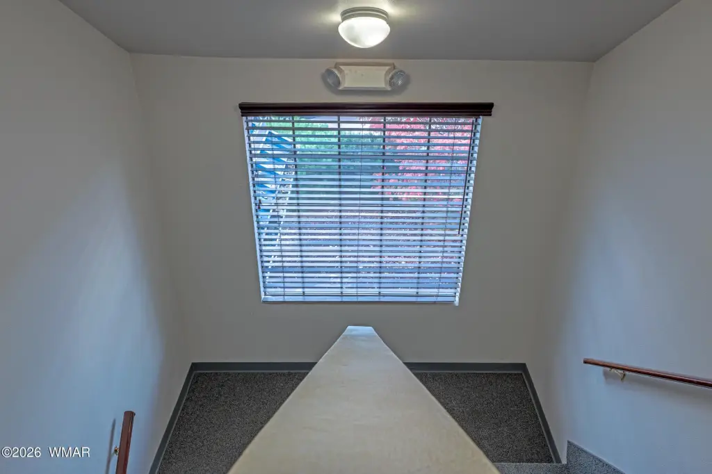 Picture 24