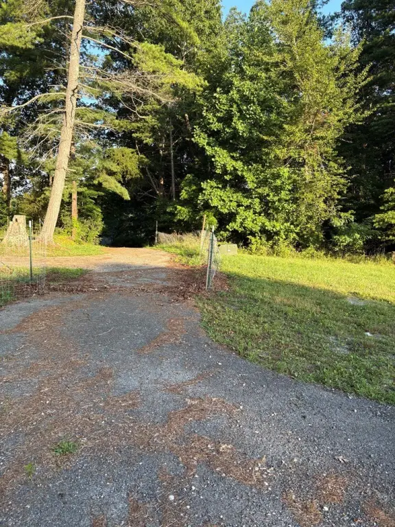 Picture 15