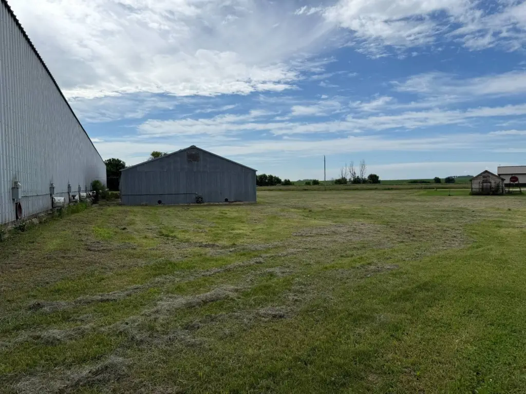 Picture 18