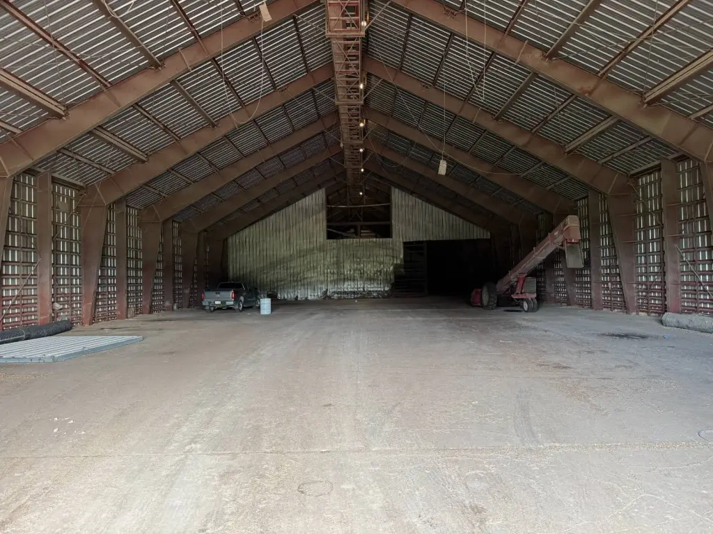 Picture 21