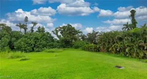 Land Near Downtown Fort Myers