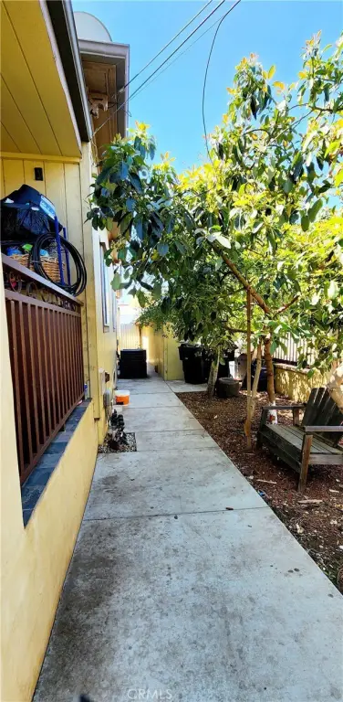 Picture 16