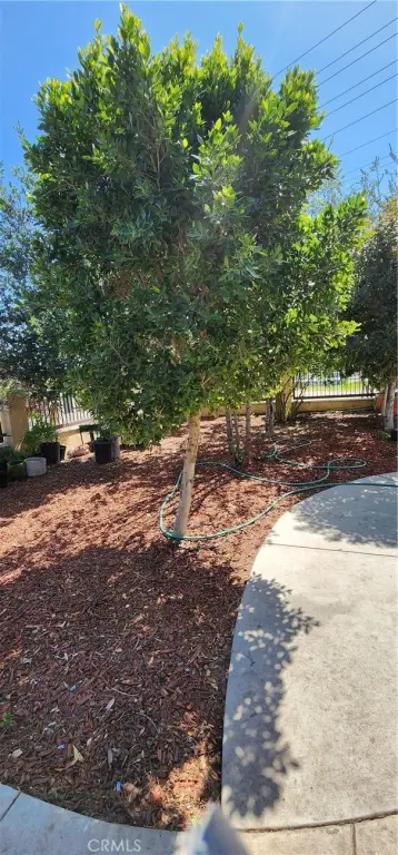 Picture 23