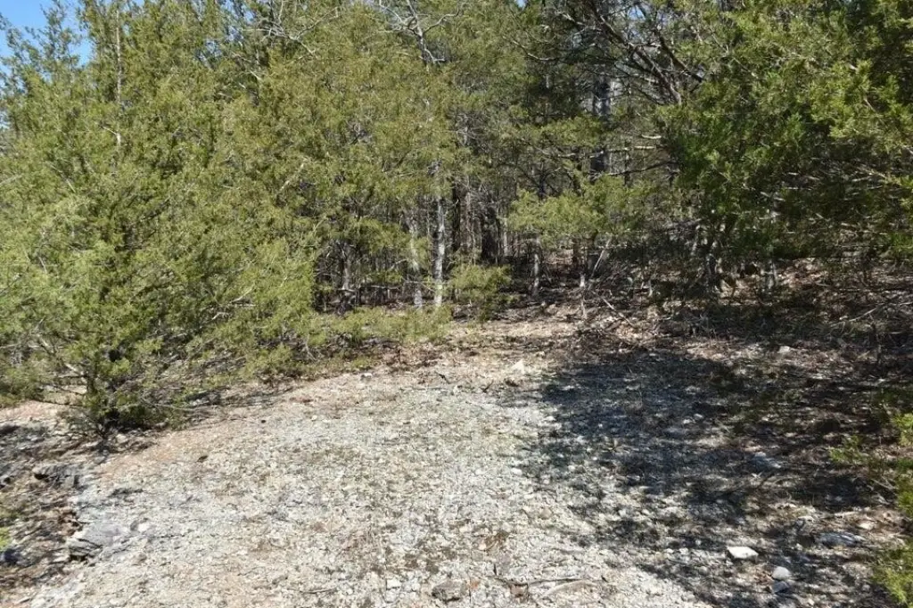 Picture 2