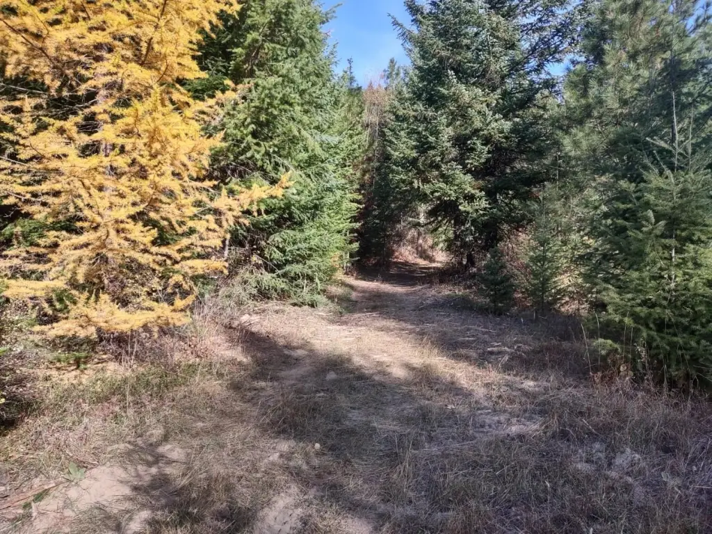 Picture 16