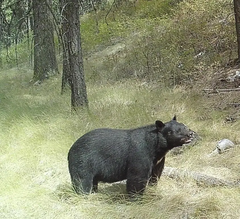 Picture 25