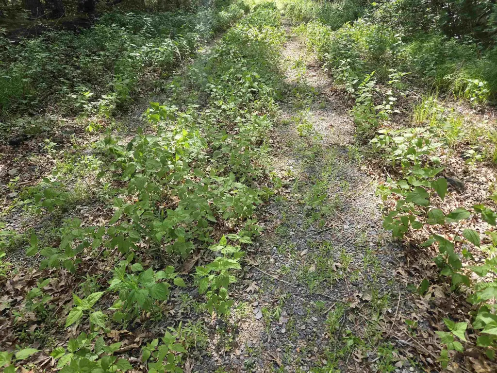 Picture 22