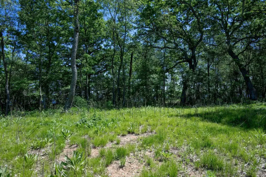 Picture 31