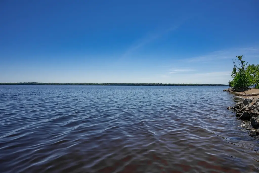Picture 7