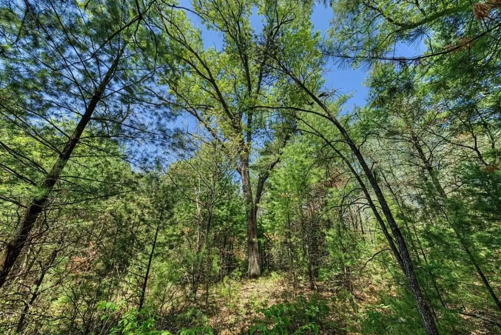 Picture 34