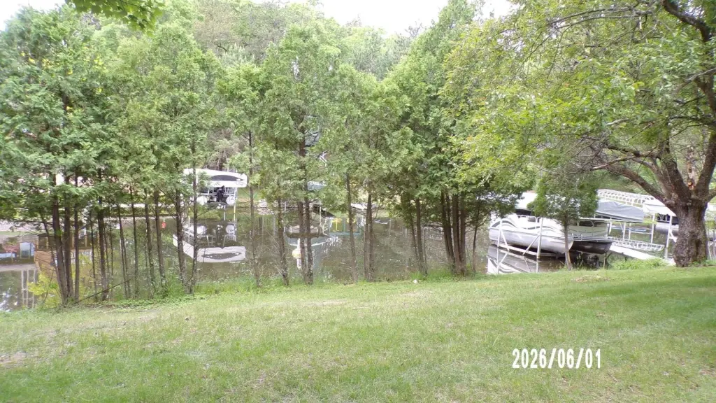 Picture 3